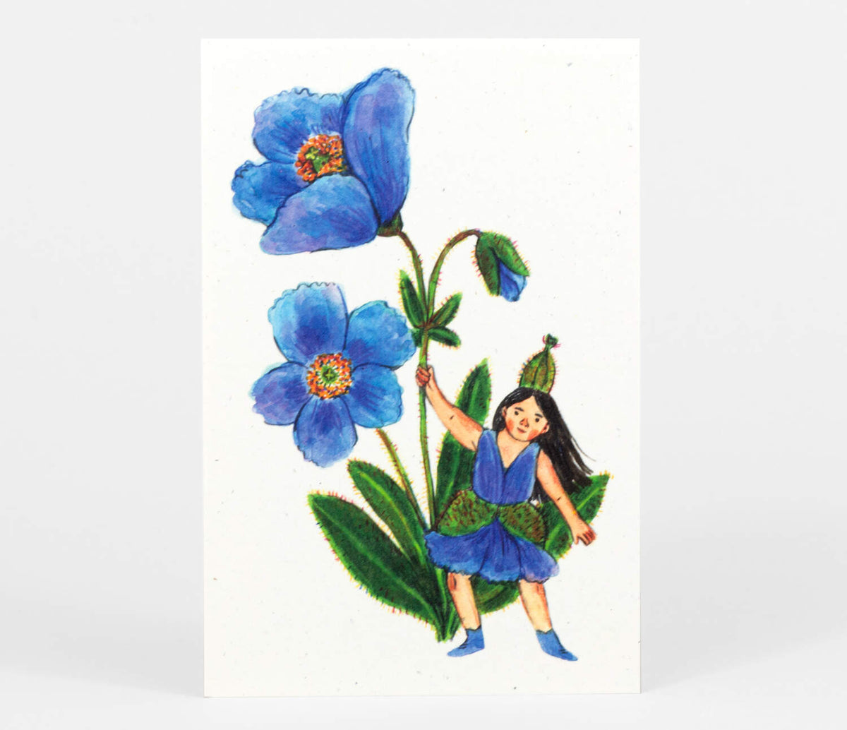 Flower Fairies Postcard Set