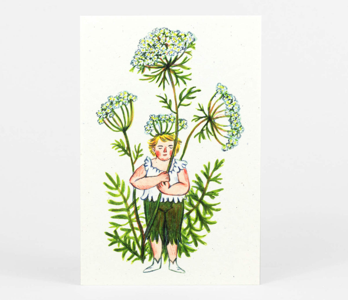 Flower Fairies Postcard Set