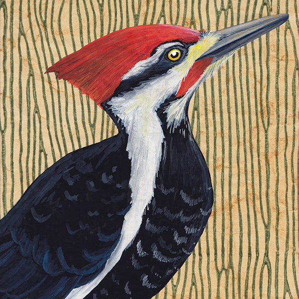 Pileated Woodpecker Print by Erika Beyer