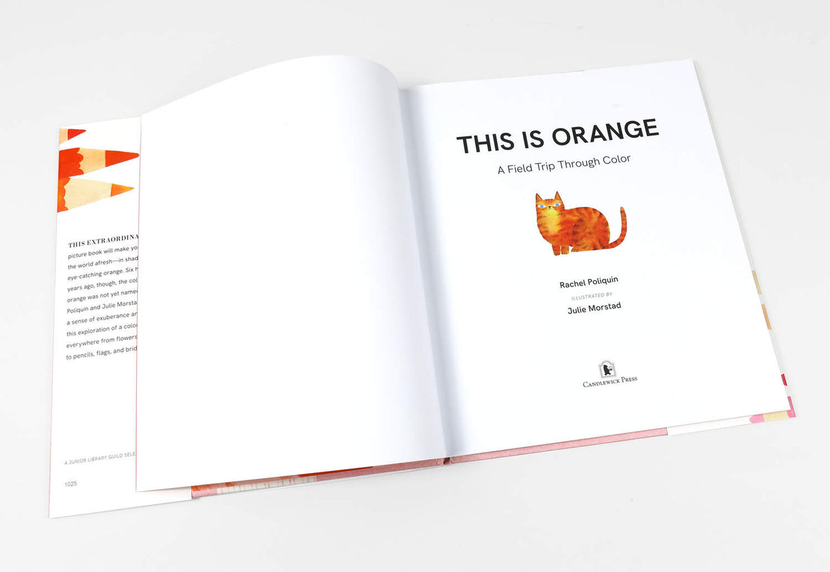 This Is Orange by Rachel Poliquin