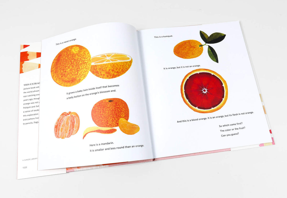 This Is Orange by Rachel Poliquin