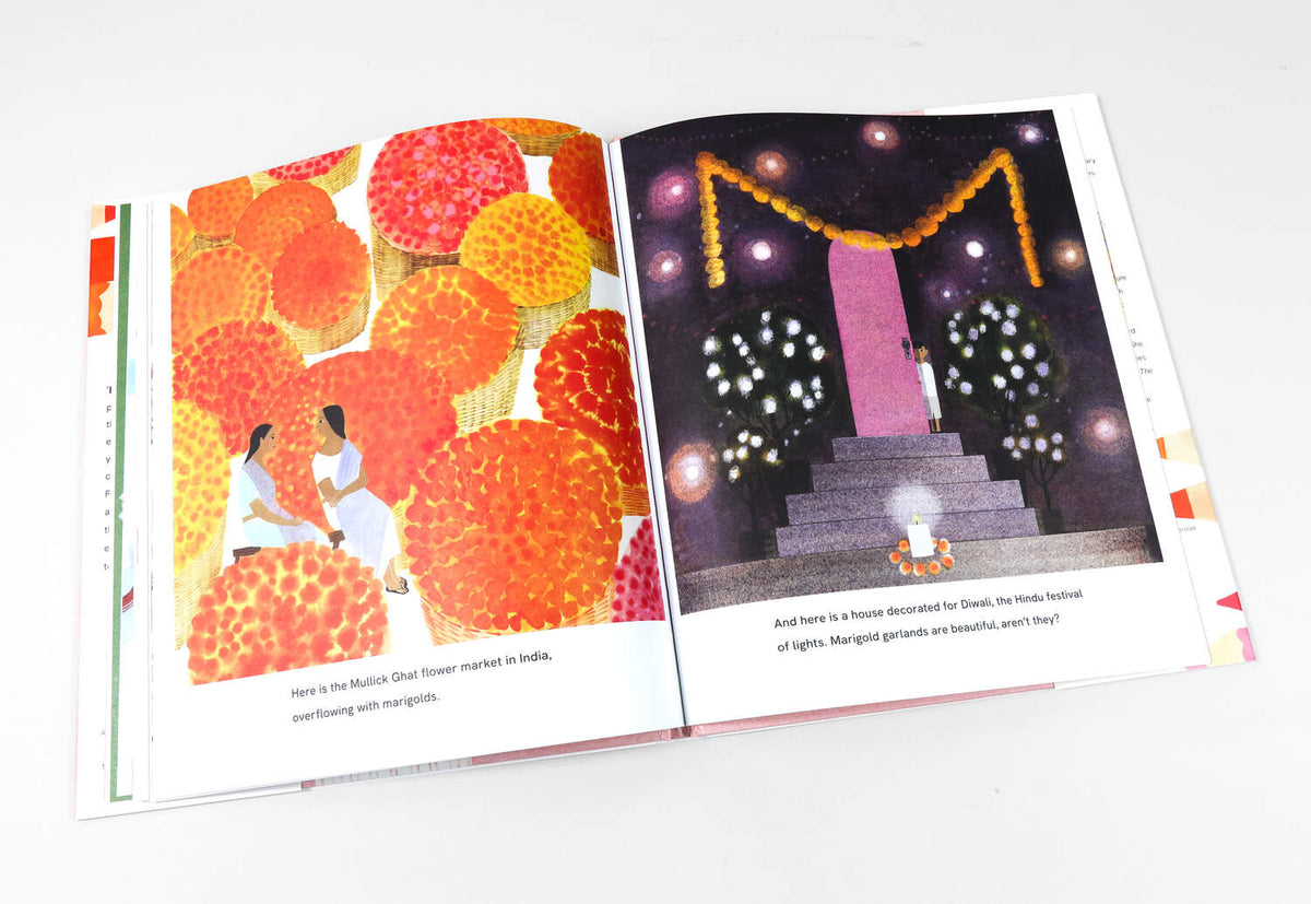 This Is Orange by Rachel Poliquin