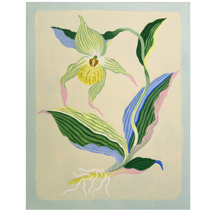 Limited Edition Lady Slipper Print by Sarah Gordon