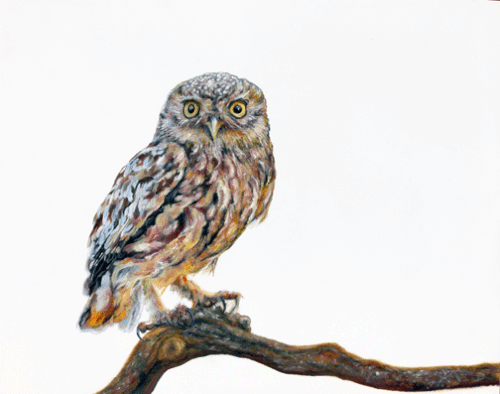 Sage Framed Mini Print by Carrie Goller