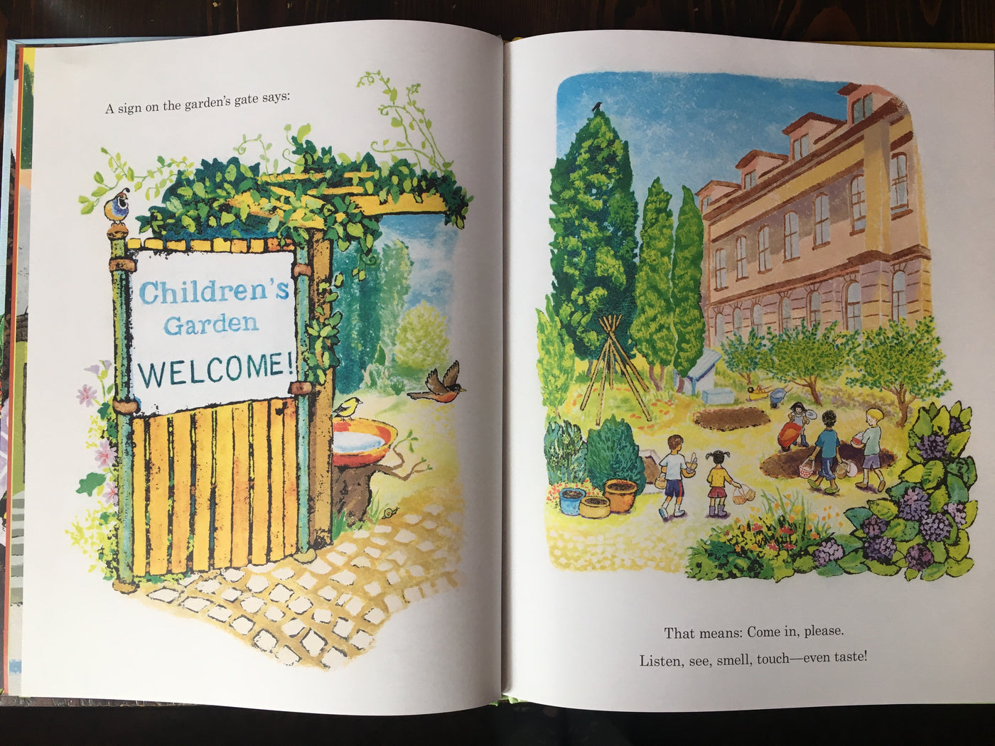 The Children's Garden - Growing Food In The City by Carole Lexa Schaefer