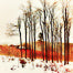 Aluminum Photo Prints by Jean-Claude Louis