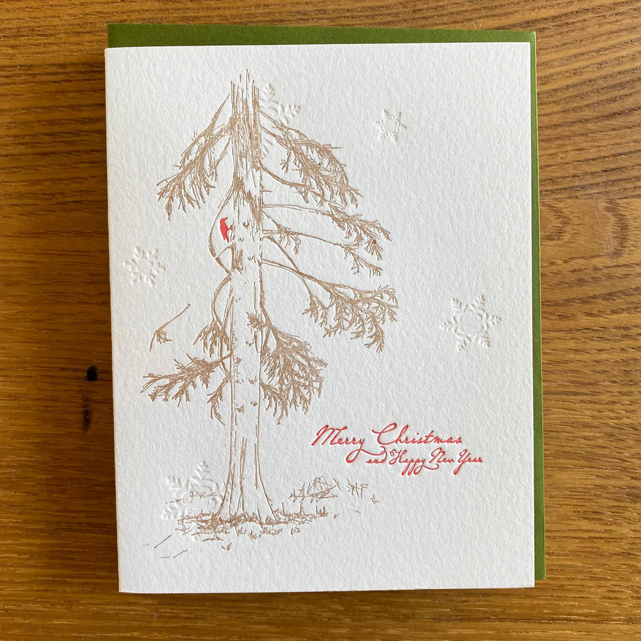 Merry Christmas Cedar Holiday Letterpress Card BOXED Set