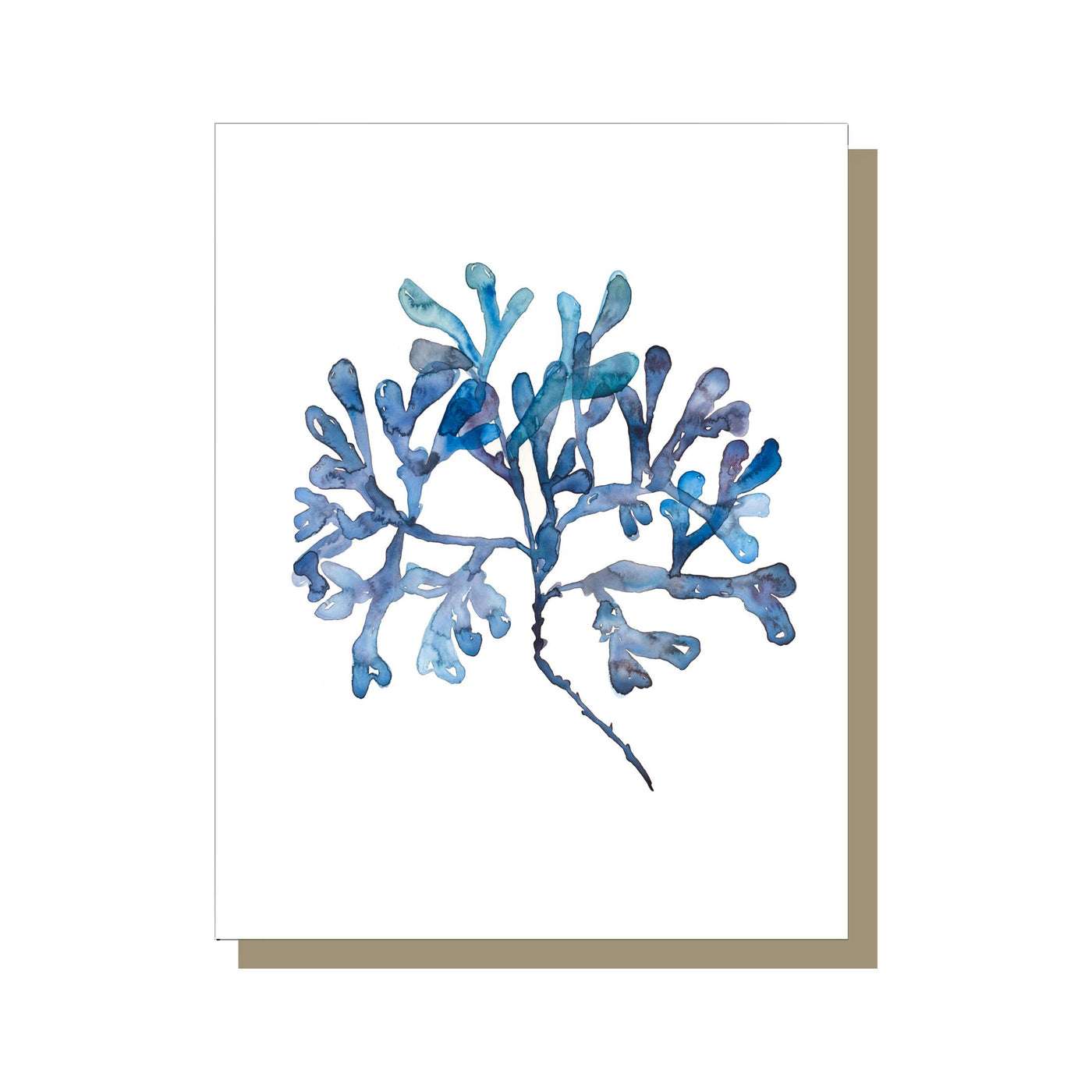 Seaweed Cards, watercolors by Jessalyn Haggenjos