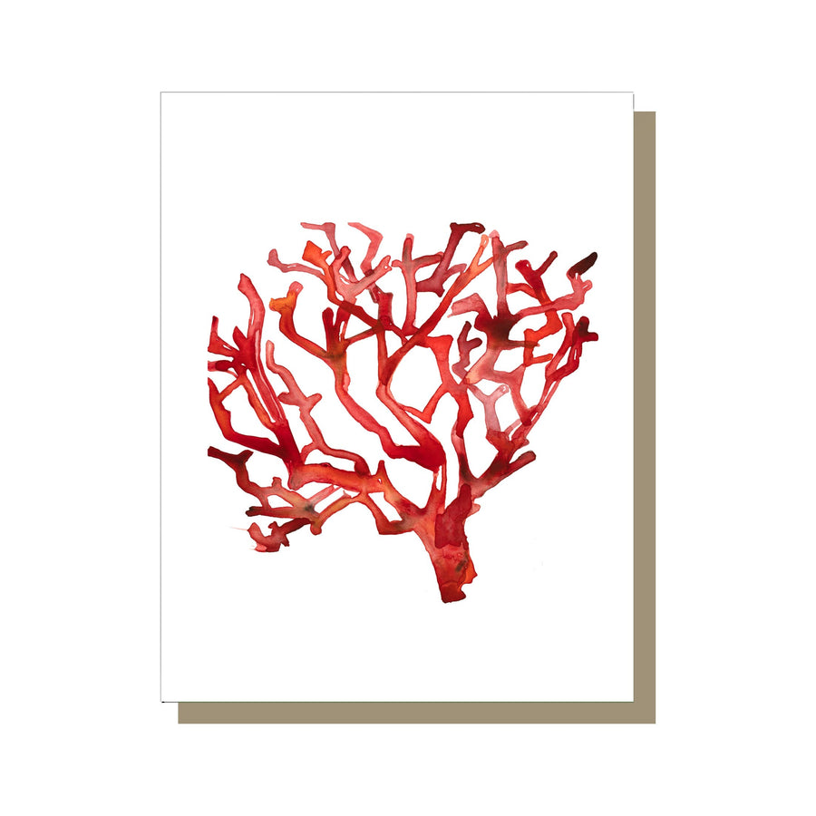 Ocean Coral Cards, watercolors by Jessalyn Haggenjos