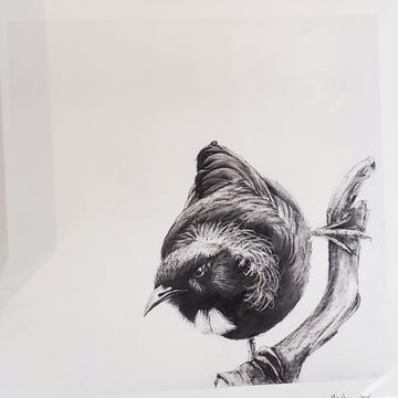 Limited Edition Prints by Marie Weichman - The Tui