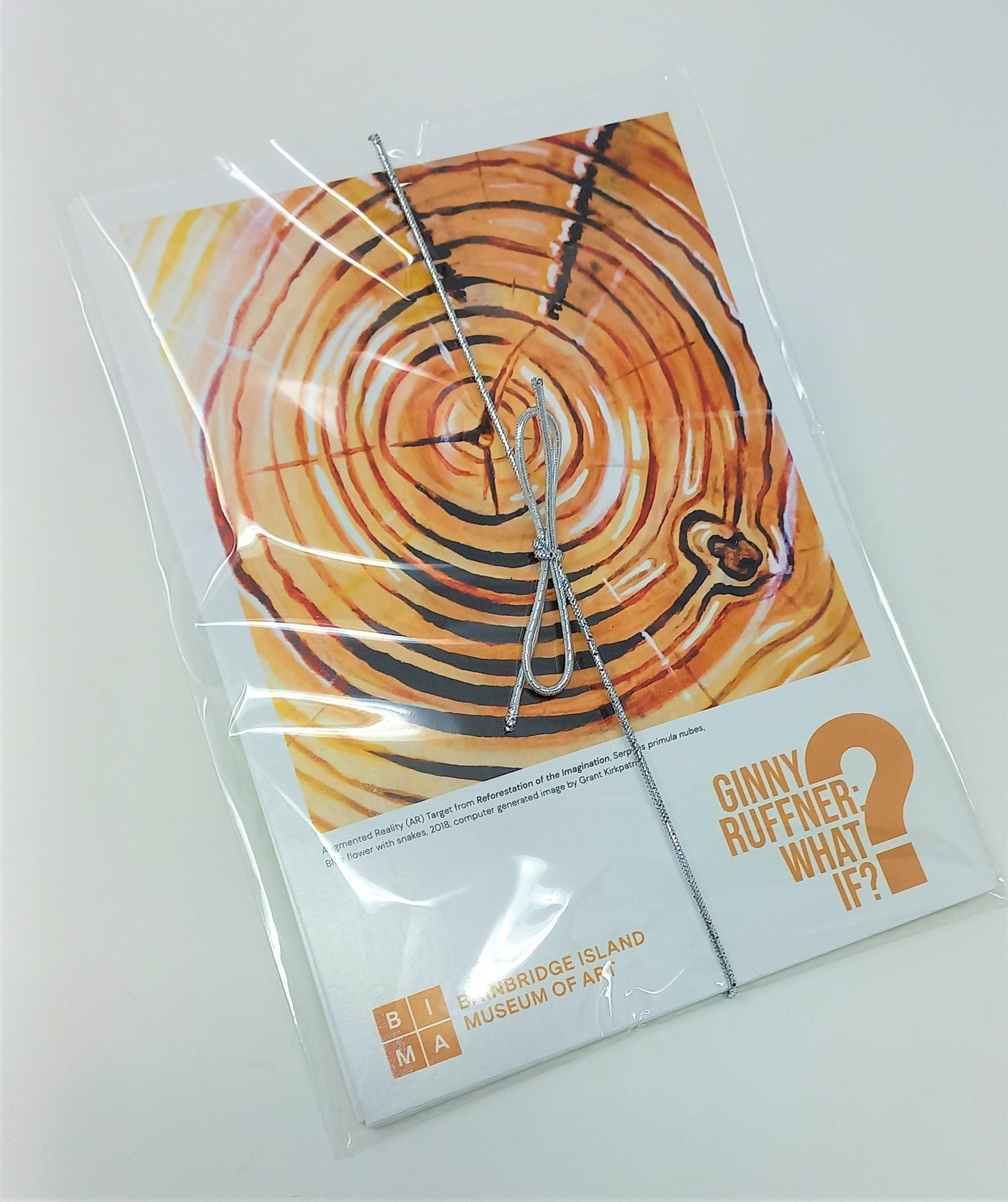 Ginny Ruffner: What If? Exhibition Postcards Set