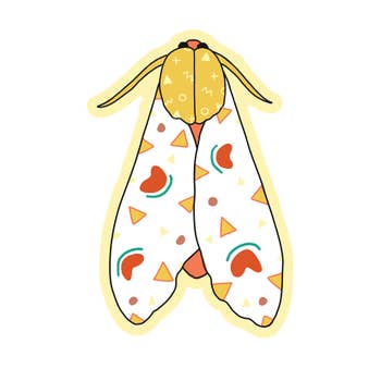 White Moth Sticker - Art by Ciara