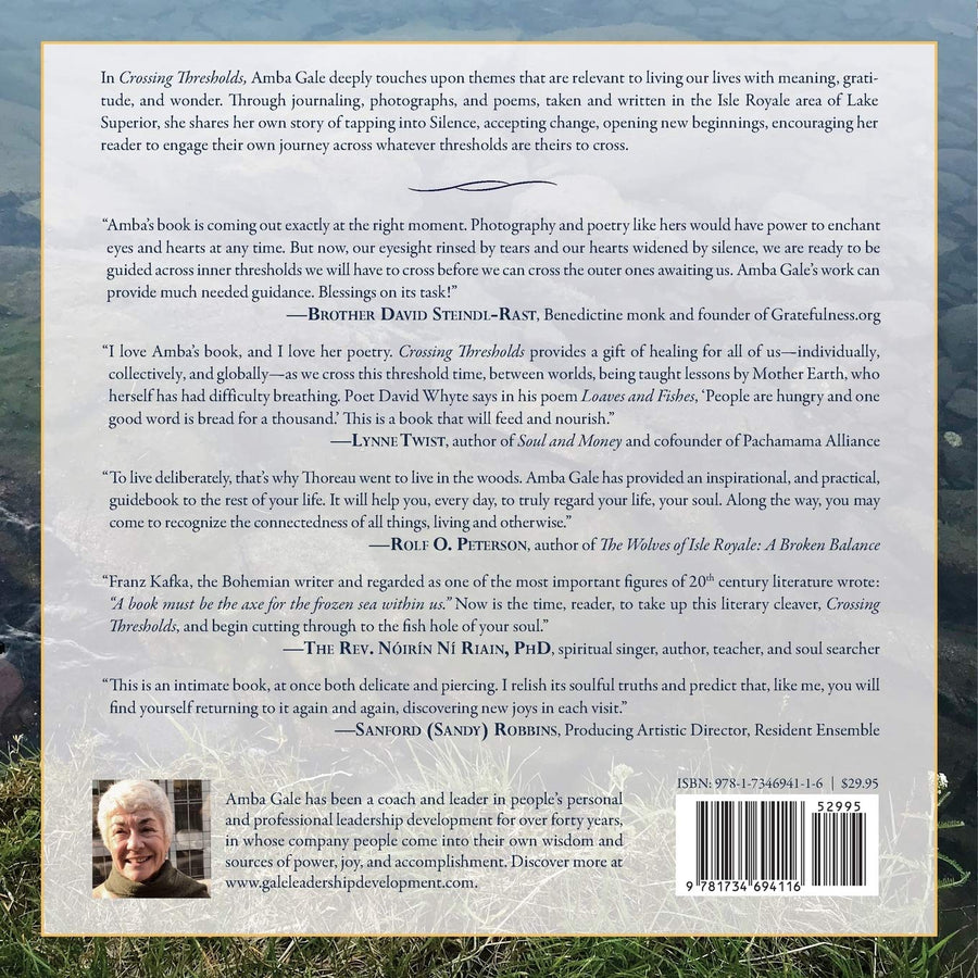 Crossing Thresholds by Amba Gale