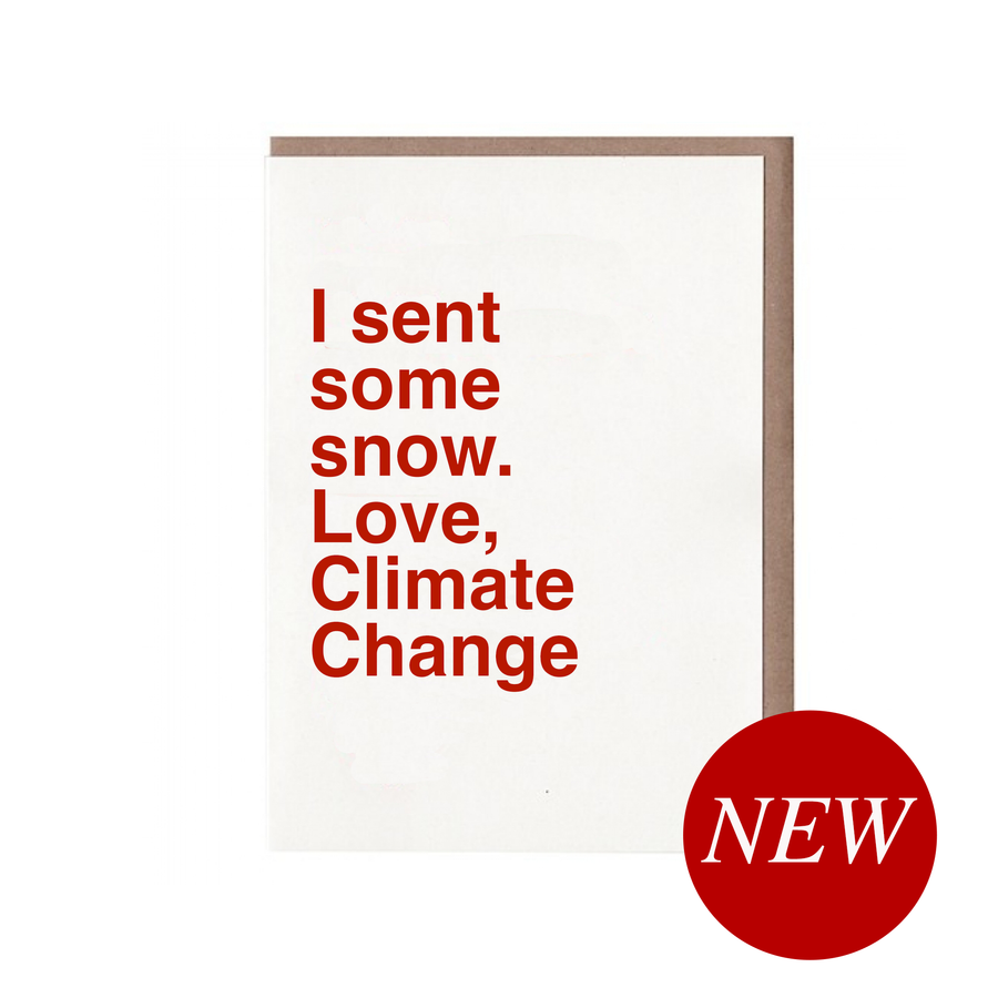 I Sent Some Snow Holiday Greeting Card