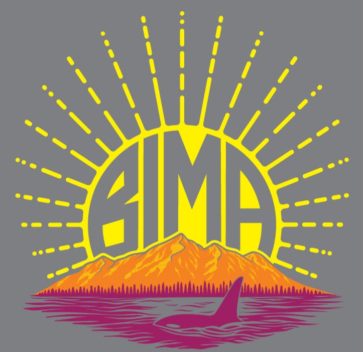 BIMA Sunburst T-shirt Storm