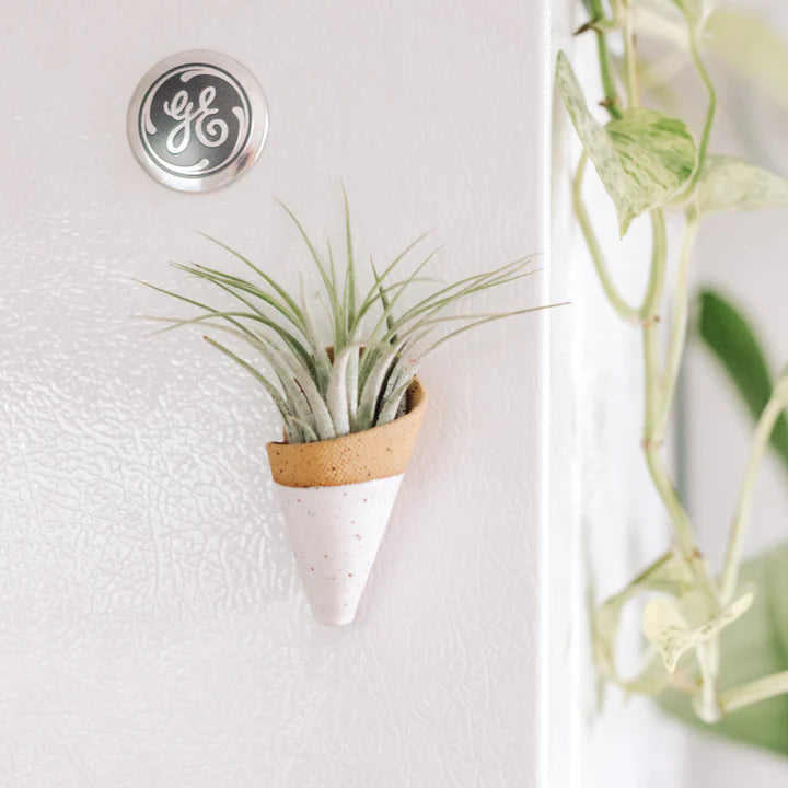 Tiny Ceramic Magnet Planter by Carter & Rose