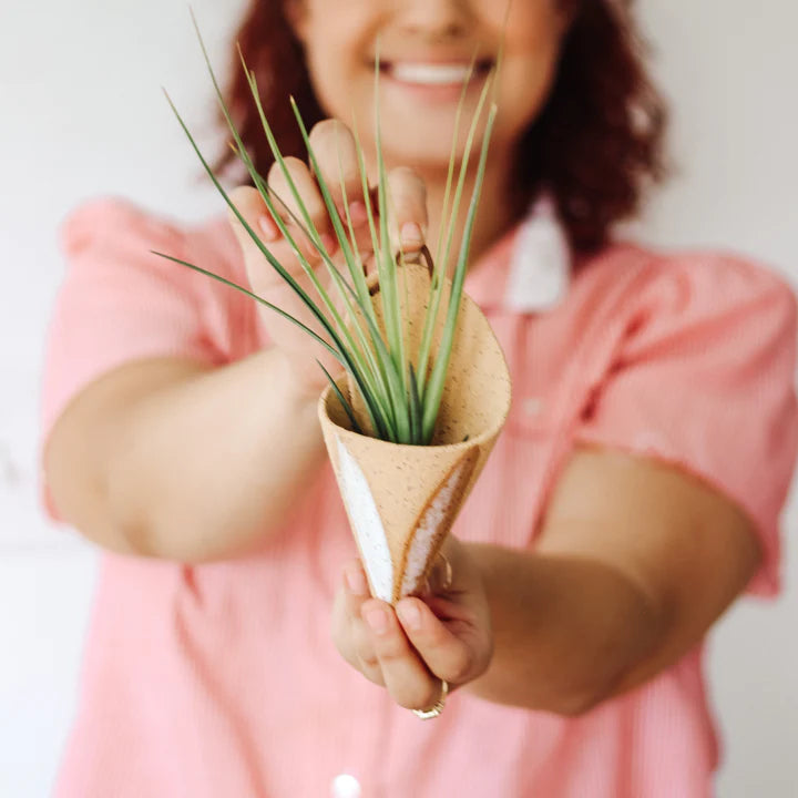 Ceramic Wall Planter by Carter & Rose