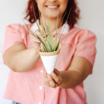 Ceramic Wall Planter by Carter & Rose