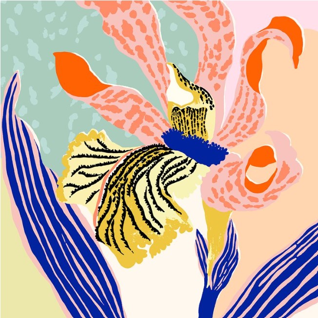 Modern Orchid Print by Sarah Gordon
