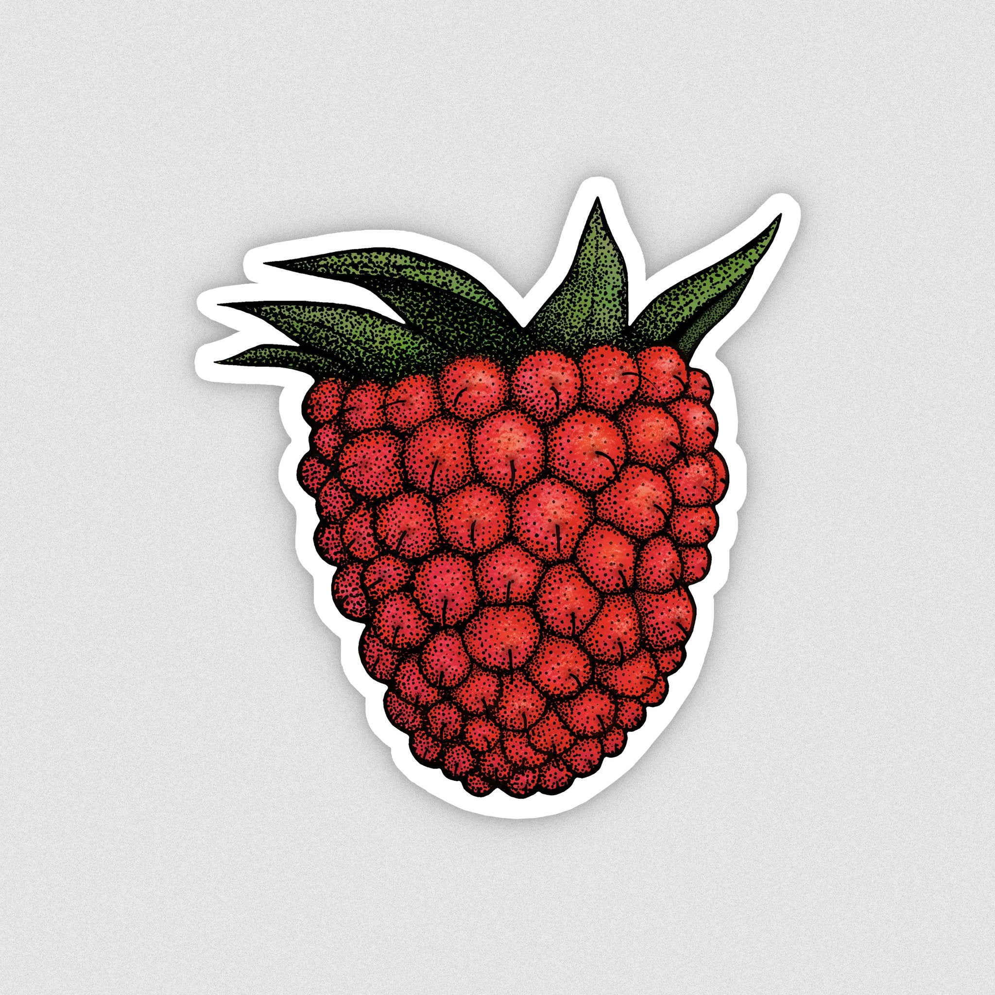 Salmonberry Sticker by Nick Alan Art