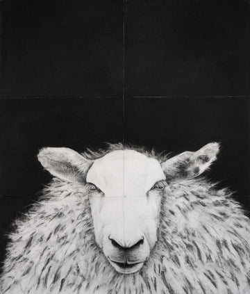 Limited Edition Prints by Marie Weichman - The Sheep