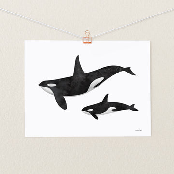 Baby Orca Print by Nick Alan Art