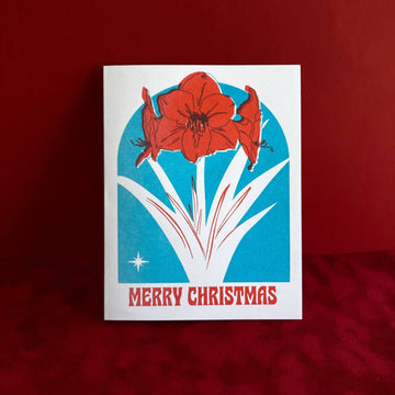Amaryllis Christmas Holiday Card