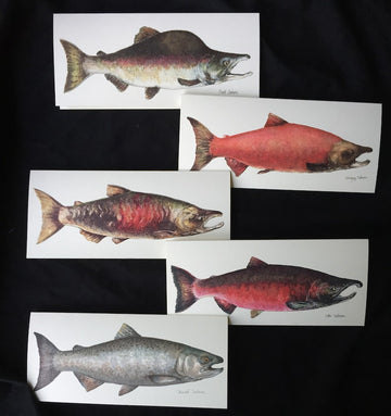 Large Salmon Art Card Set by Rosie Ferne