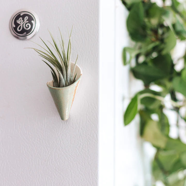 Tiny Ceramic Magnet Planter by Carter & Rose